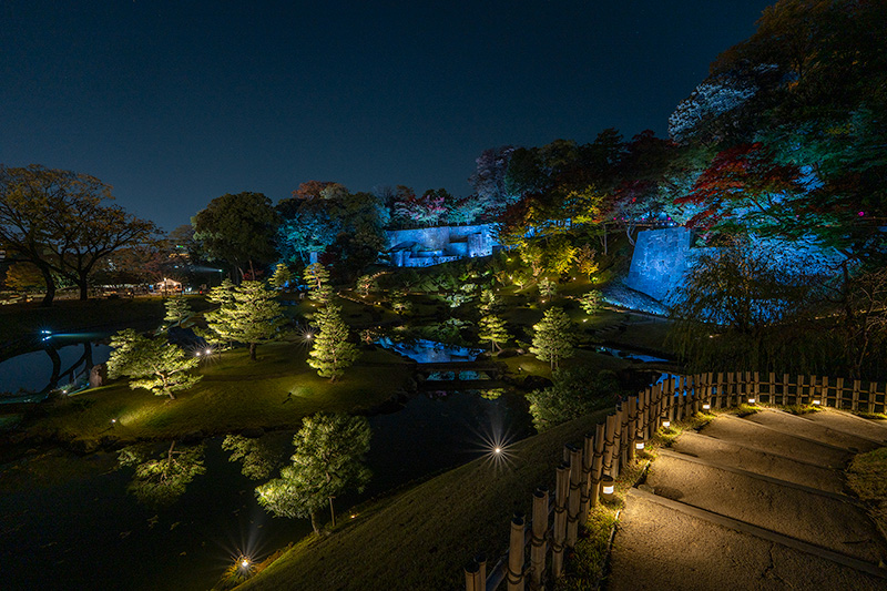 ライトアップされた玉泉院丸庭園