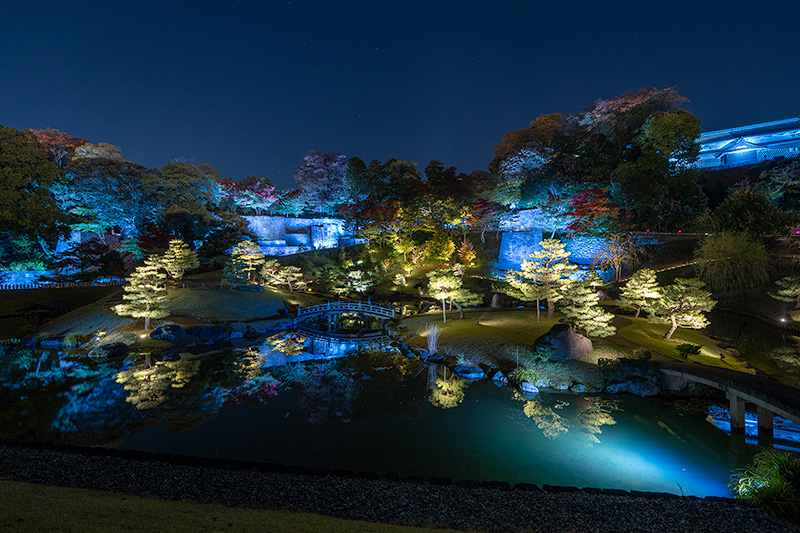 ライトアップされた玉泉院丸庭園