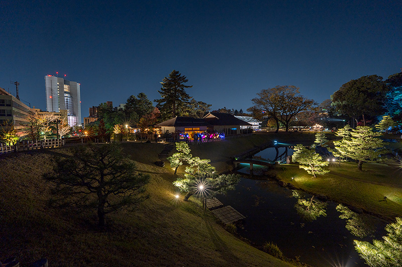 ライトアップされた玉泉院丸庭園