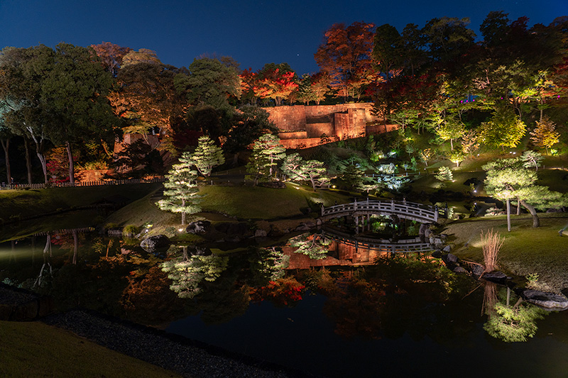 ライトアップされた玉泉院丸庭園