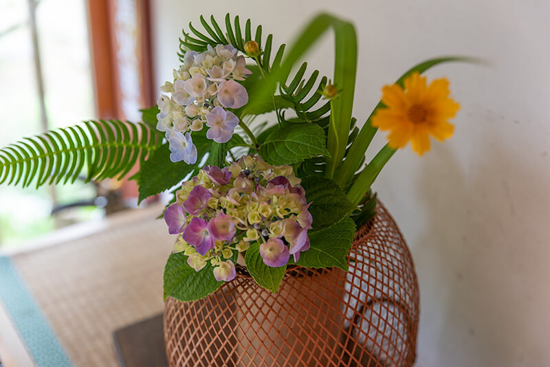 紫陽花が生けられている
