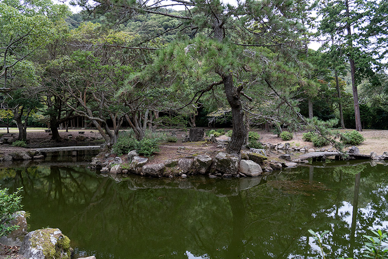 小蓬莱