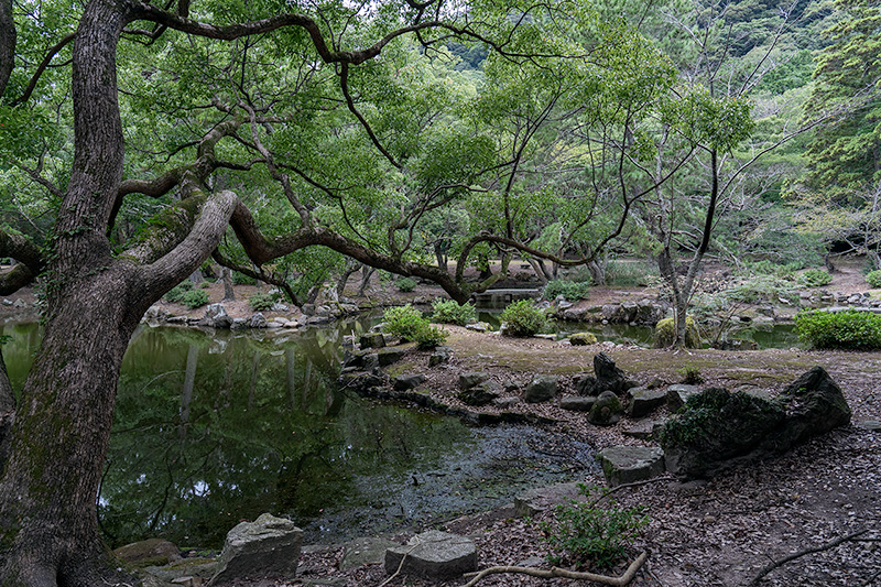 向かい合うような出島