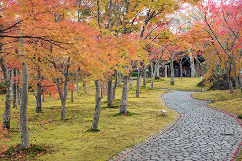 箱根美術館 神仙郷