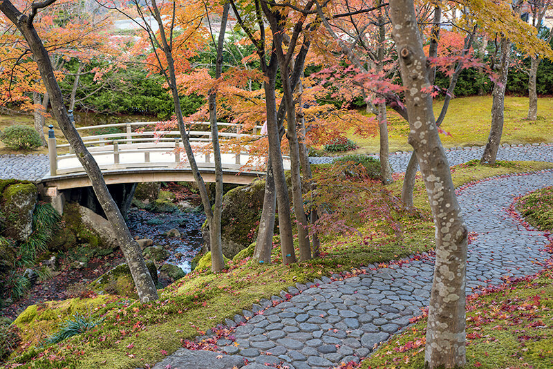 苔庭と太鼓橋