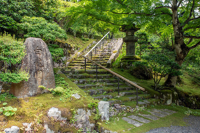 苔で覆われた石段