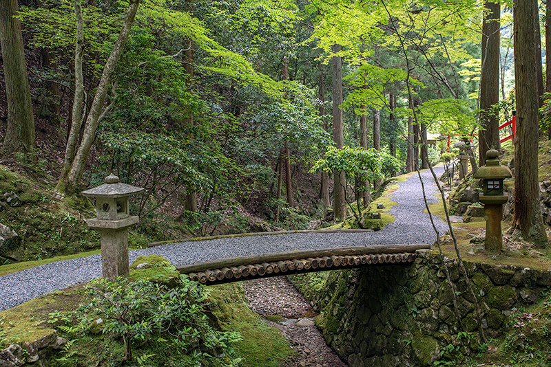 白龍神社へ向かう参道
