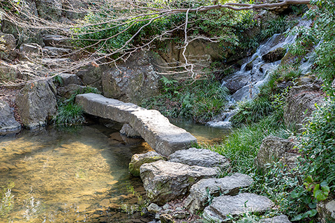 浜松城公園 日本庭園