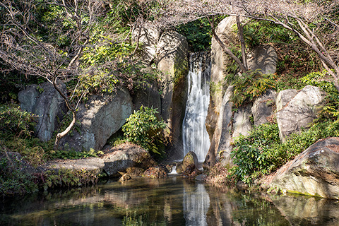 浜松城公園 日本庭園