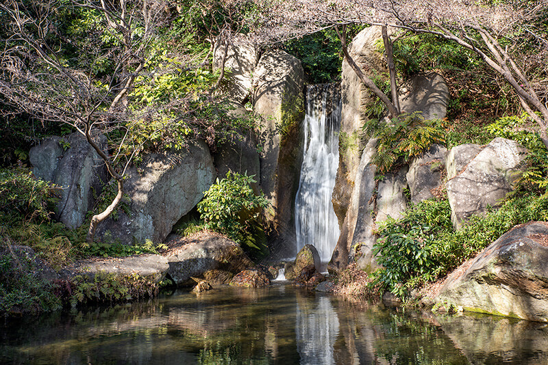 上の池