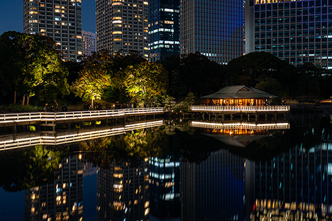 浜離宮恩賜庭園　お月見散歩