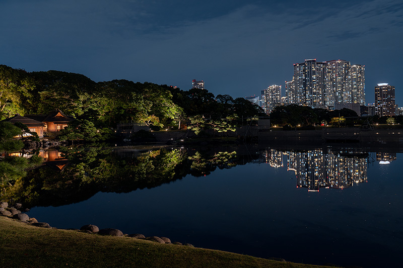 2025年だけの特別ルート