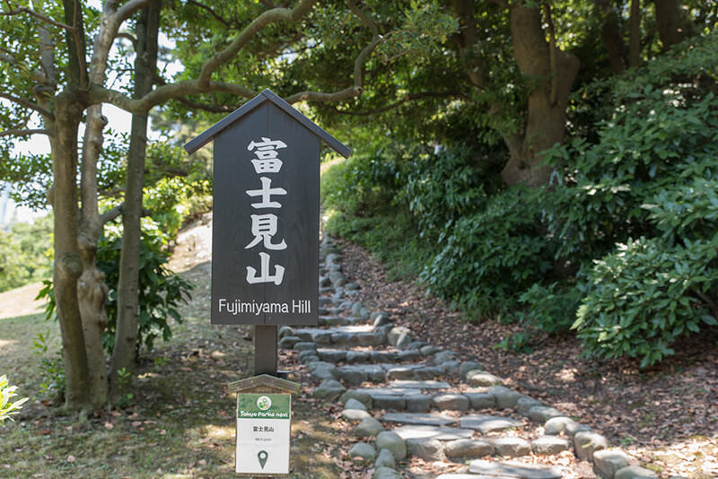 富士見山を登ってみる