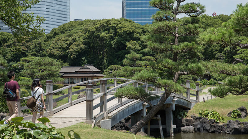 中の橋