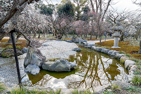 北野天満宮 花の庭