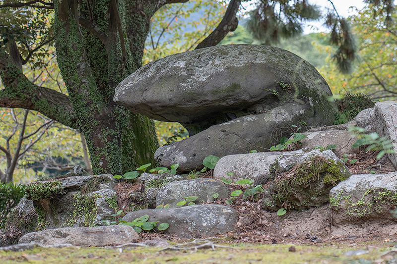 陰石