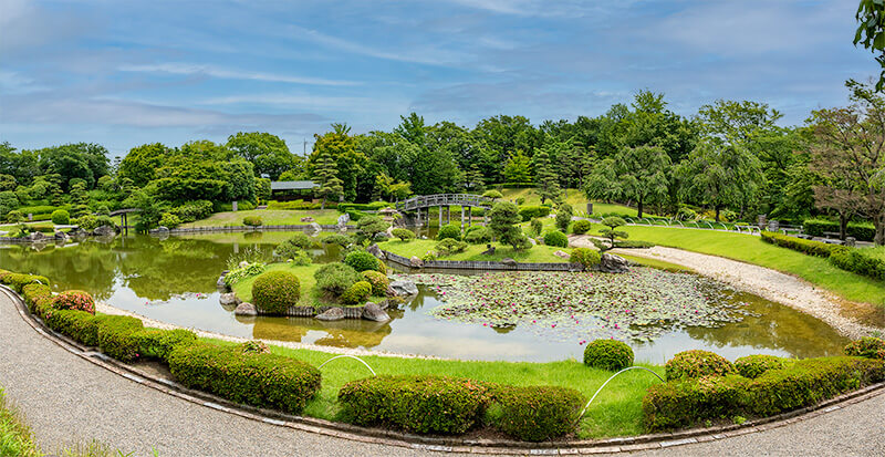 池泉全景