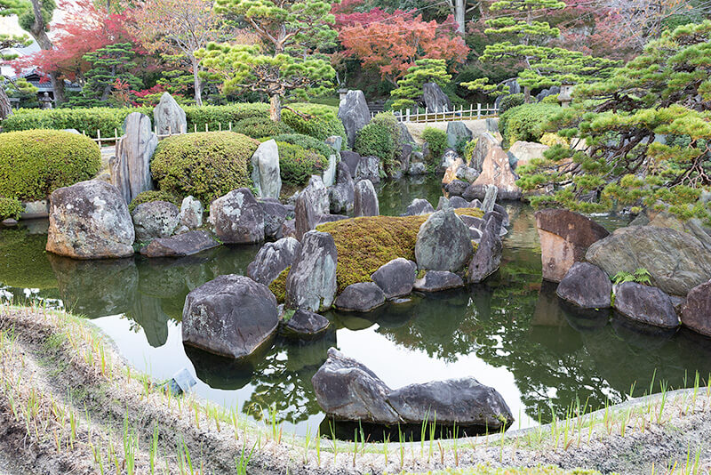 聚花山の庭 亀島