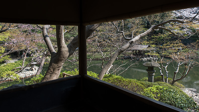 角亭からの額縁庭園