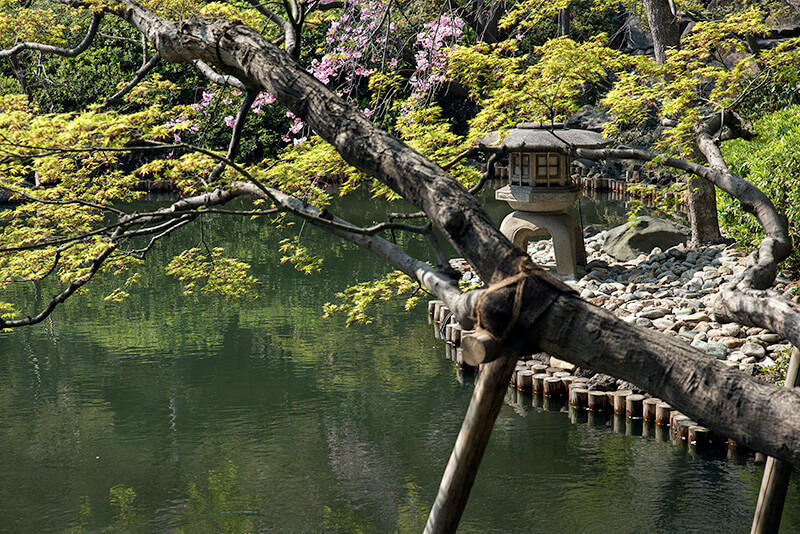 八芳園の池泉