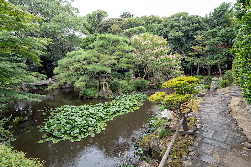 池泉庭園