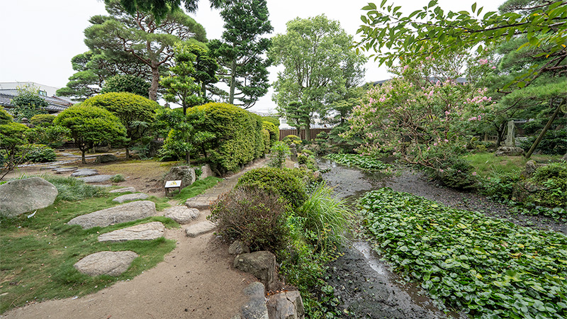 右手が池泉庭園で、左手が離れ。