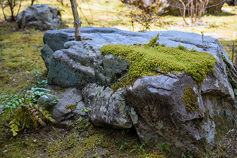 日向和田 臨川庭園
