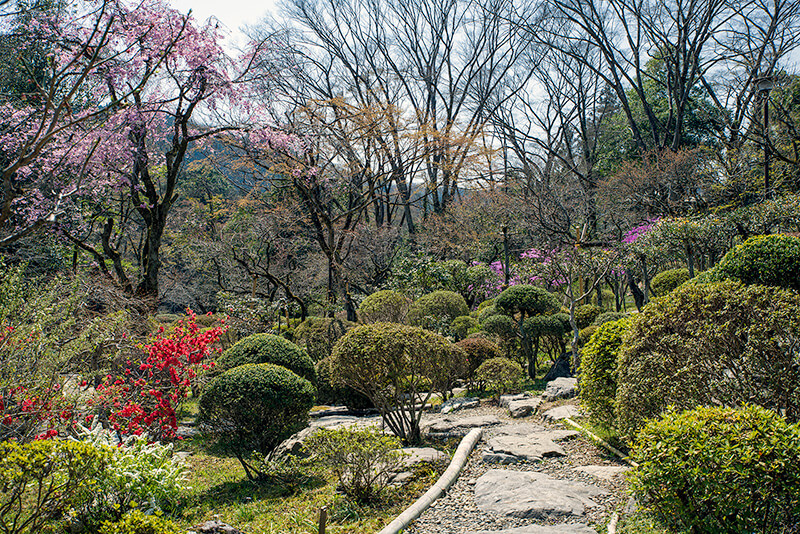 飛石にて庭園を散策する園内