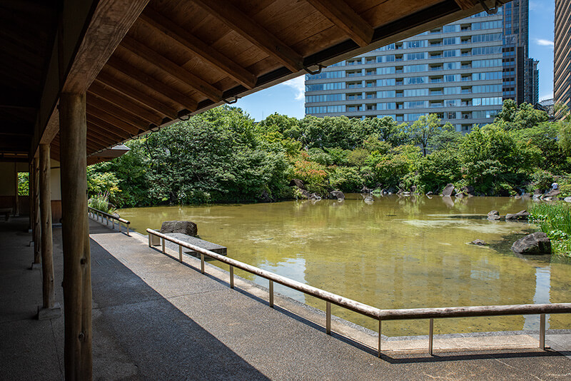 東屋から池泉を望む