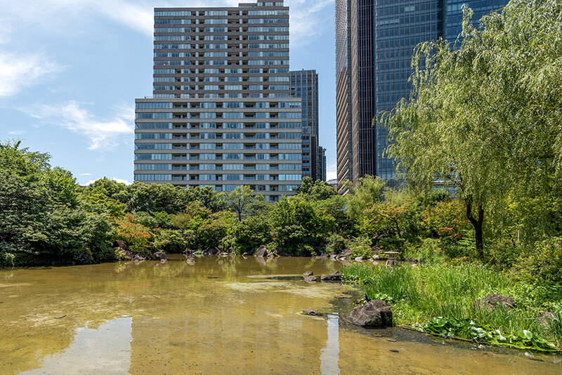池泉のある公園