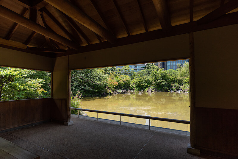 額縁庭園