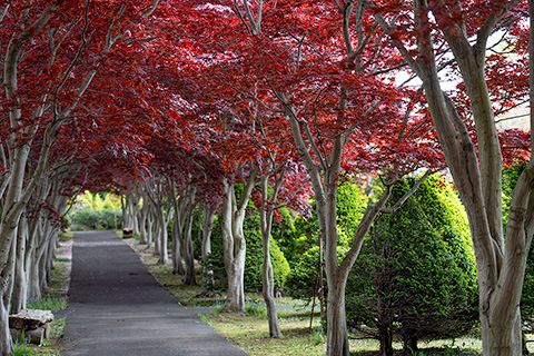 平岡樹芸センター