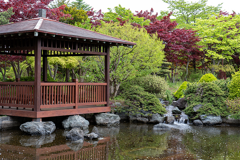 池泉庭園