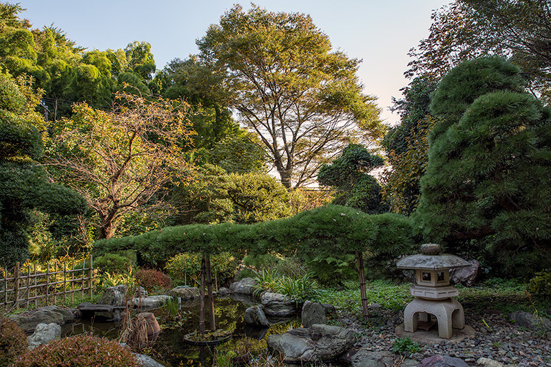 池泉庭園