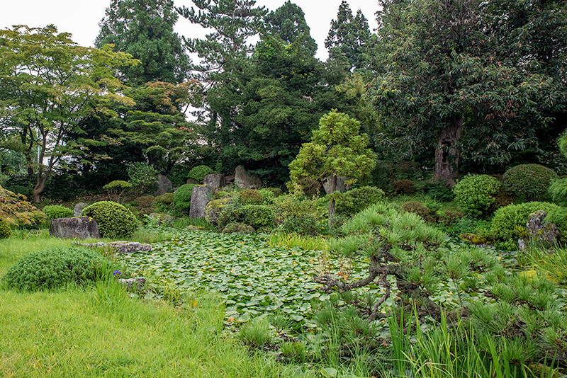 池泉