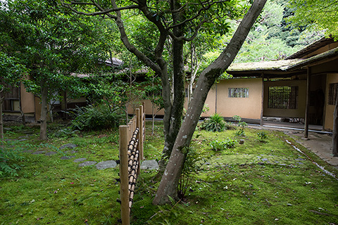 本土寺（あじさい寺）