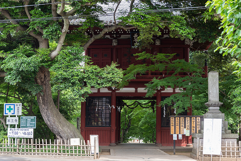 本土寺　仁王門