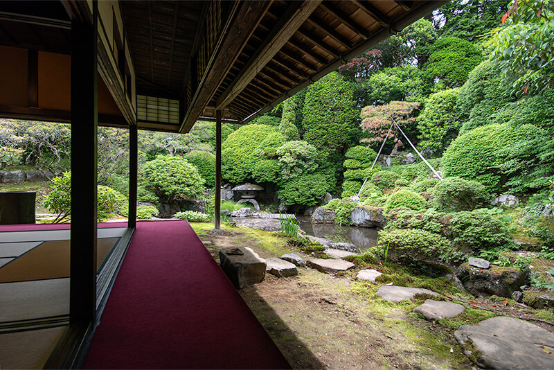 毛氈と庭園