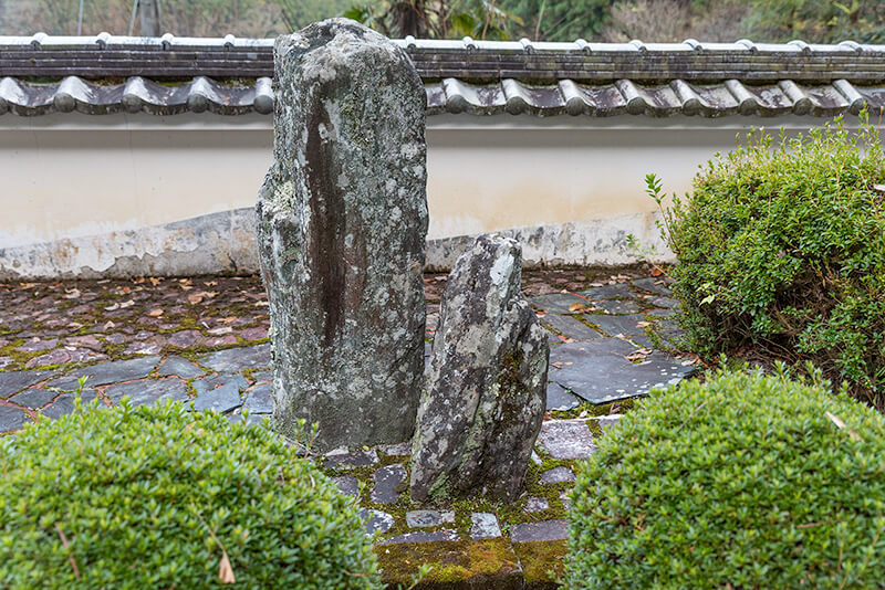 眺める角度によって表情を変える