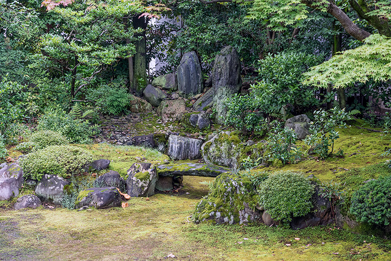 巴の庭