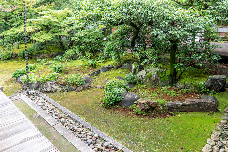 巴の築山③