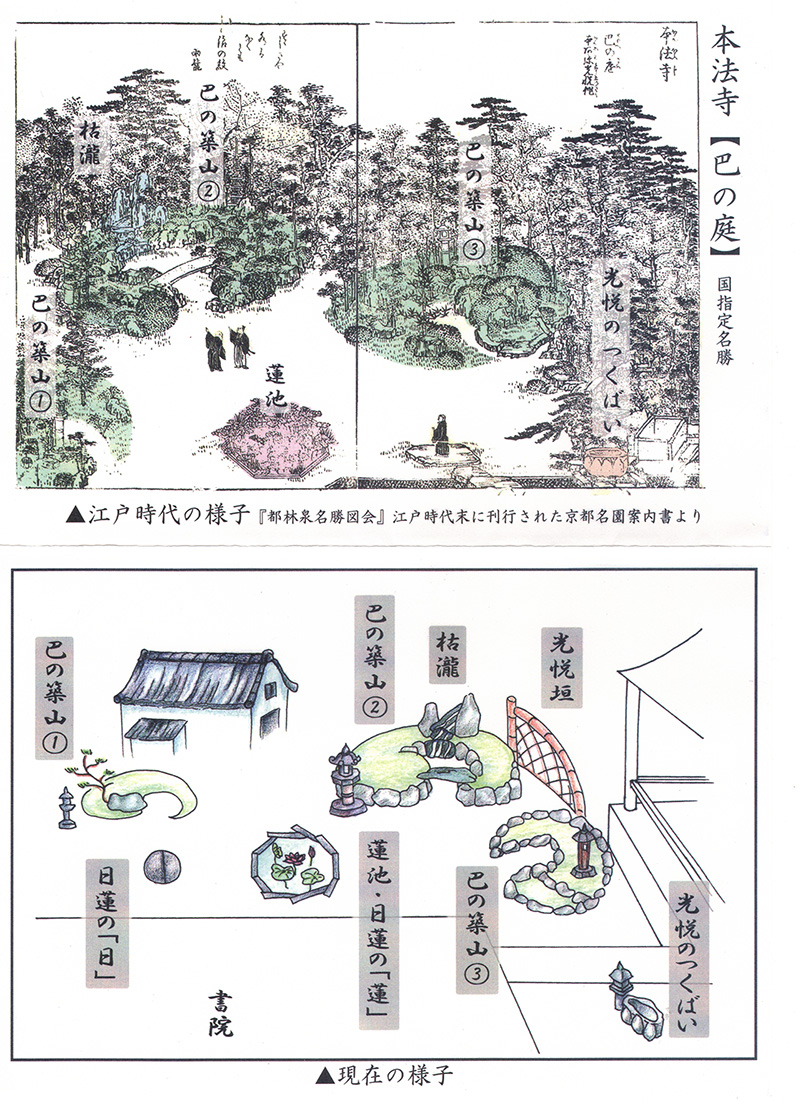 巴の庭の案内図（パンフレットより引用）