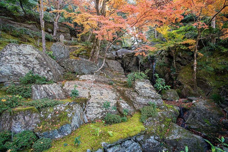 池泉回遊式庭園