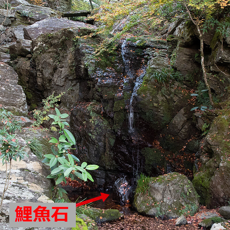 鯉魚石