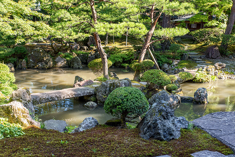 庭園正面から池泉回遊式庭園を眺める