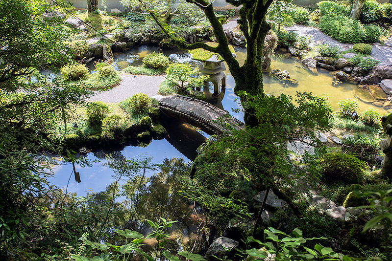入り組んだ出島による池泉