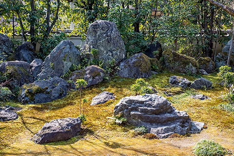 法輪寺（だるま寺）