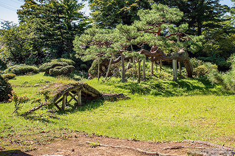 法泉寺庭園