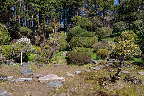 法幢寺