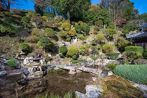 法樹寺